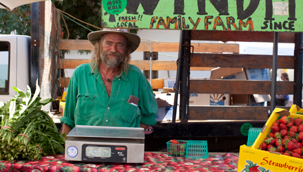 windmill farm market