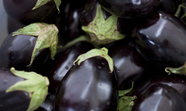 Eggplant