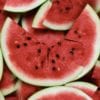 watermelons-twitter-background