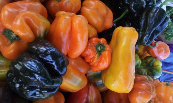 Felton Farmers’ Market CLOSED Heat Closure FB_IMG_13777282289402879