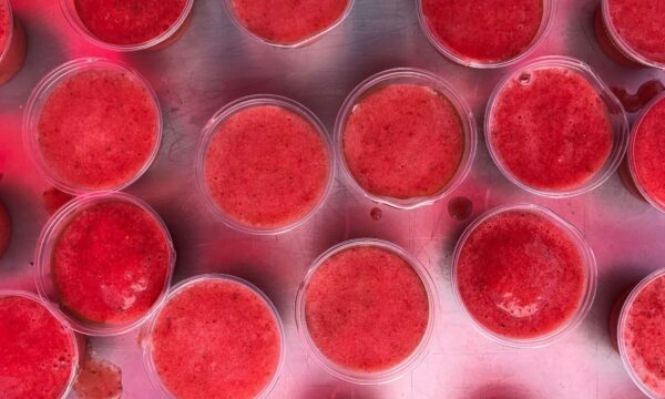 SMOOTHIE-BIKE BLENDER